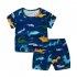 2 piece Boys Round Neck Short Sleeves T shirt Shorts Two piece Set Breathable Cotton Suit Leaf Dinosaur 2 3Y 90cm