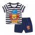 2 piece Boys Round Neck Short Sleeves T shirt Shorts Two piece Set Breathable Cotton Suit Skateboard Dinosaur 3 4Y 100cm