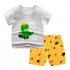 2 piece Boys Round Neck Short Sleeves T shirt Shorts Two piece Set Breathable Cotton Suit Skateboard Dinosaur 3 4Y 100cm
