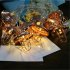 20 LEDs Christmas Light Innovative Decorative Lamp Shade Model String Lights   2m