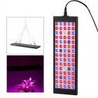 20 Watt Grow Light has 75 LEDs with wavelengths from 390nm to 730nm this Full spectrum LED grow lamp is for plants  flowers  vegetables  fruit and more