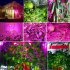 20 Watt Grow Light has 75 LEDs with wavelengths from 390nm to 730nm this Full spectrum LED grow lamp is for plants  flowers  vegetables  fruit and more