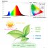 200w Led Grow Light 180 Degree Adjustable Full Spectrum Hydroponic Plant Growing Lamp For Indoor Plants 50W EU plug