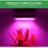 200w Led Grow Light 180 Degree Adjustable Full Spectrum Hydroponic Plant Growing Lamp For Indoor Plants 200W conventional line