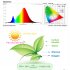 200w Led Grow Light 180 Degree Adjustable Full Spectrum Hydroponic Plant Growing Lamp For Indoor Plants 200W EU plug