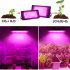 200w Led Grow Light 180 Degree Adjustable Full Spectrum Hydroponic Plant Growing Lamp For Indoor Plants 300W Sunlight European Plug