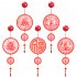 2024 Chinese New Year Decoration Pendant Dragon New Year s Acrylic Blessing Knot For Household Blessing Hanging Colored Lantern Home and everything prosper