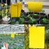 20Pcs Yellow Dual Sided Sticky Fly Traps for Plant Insect Like Fungus Gnats Flying Aphid Whiteflies Leafminers yellow 20 15cm