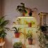 20W LED Plant Growth Lamp 5000k 9 Levels Adjustable Brightness Full Spectrum Grow Light for Indoor Plants US Plug