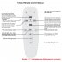 20w Led Bedside Wall Lamp 2 4g Smart Remote Control 3 color Bedroom Corridor Wall Lamp Decoration Fixtures black shell