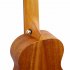 21 Inch 23 Inch Gecko Ukulele Arched Back Design Professional Wooden Ukuleles Beginner Small Guitar U21M