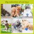 21Pcs Set Cat Teaser Channel Ball Plush Toys Set for Pet 21pcs