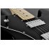 22 fret Electric Guitar that include two Humbucker Pickups is a great way to start learning the blues