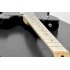 22 fret Electric Guitar that include two Humbucker Pickups is a great way to start learning the blues