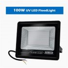 220v 100W Led Uv Flood Light Waterproof Fluorescent Stage Lamp