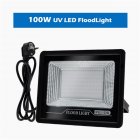 220v 50w 100w Led Uv Flood Light Waterproof Fluorescent Stage Lamp For Party Halloween Decoration 100W-EU plug wire