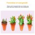 220v Led Plant Grow Lights Cup 48 Beads 60 Beads 80 Beads E27 Indoor Fill Light Cup For Indoor Plants Veg Flower E27 80 beads