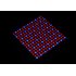 225 LED red and blue glow light uses just 14 Watts of power and can operate at temperatures between  20 to   40    for all your horticultural needs  