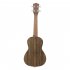 23 26 inches 18 Frets Walnut Ukulele Hawaiian Small Guitar Hawaii 4 String Guitar 26 inches 18 frets walnuts