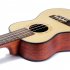 24  Spruce Ukulele Rosewood Fretboard 4 Strings Musical Instrument