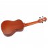 24  Spruce Ukulele Rosewood Fretboard 4 Strings Musical Instrument