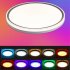 24W LED Ceiling Light With Remote Control 3000K 6500K Color Temperature Infinite Dimming Dimmable Ceiling Light For Bedroom Living Room Dining Room US standard 