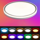 24W LED Ceiling Light With Remote Control 3000K-6500K Color Temperature Infinite Dimming Dimmable Ceiling Light For Bedroom Living Room Dining Room US standard 110V-130V