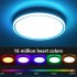 24W LED Ceiling Light With Remote Control 3000K 6500K Color Temperature Infinite Dimming Dimmable Ceiling Light For Bedroom Living Room Dining Room US standard 