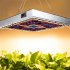 25W 45W Full Spectrum LED Grow Light Series Circuits Lamp for Greenhouse Indoor Plants