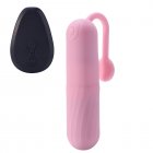 2PCS Vibrator G Spot Vibrator Clitoral Massager Nipple Vibrator Pleasure Stimulator Sex Toy