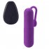 2PCS Vibrator G Spot Vibrator Clitoral Massager Nipple Vibrator Pleasure Stimulator Sex Toy For Adult Couples Women rose red remote control