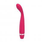 2PCS Vibrator G Spot Vibrator Clitoral Anal Massager Nipple Vibrator Pleasure Stimulator Sex Toy For Adult Couples Women rose Red