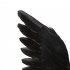 2Pcs Simulate Black Crow Shape Decorative Prop for Halloween 2pcs