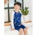 2pcs Boys Split Swimwear Sunscreen Long Sleeves Swimsuit Boxers Set For 2 10 Years Old Kids 329 blue and white 9 10Y 14