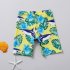 2pcs Kids Boys Shark Pattern Split Swimsuit Quick drying Sun Protection Long Sleeve Swimming Suit shark 3 4Y M