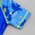 2pcs Kids Boys Split Swimsuit Short Sleeve Crew Neck Shirt With Swimming Trunks Sunscreen Bathing Suits shark shaped 7 8Y 7 8 Size