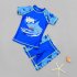 2pcs Kids Boys Split Swimsuit Short Sleeve Crew Neck Shirt With Swimming Trunks Sunscreen Bathing Suits shark shaped 7 8Y 7 8 Size
