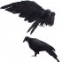 2pcs Realistic Crows Birds Ornaments Handmade Extra Large Black Feathered Crow For Halloween Decorations stand   spread wings