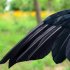 2pcs Realistic Crows Birds Ornaments Handmade Extra Large Black Feathered Crow For Halloween Decorations stand   spread wings