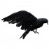 2pcs Realistic Crows Birds Ornaments Handmade Extra Large Black Feathered Crow For Halloween Decorations stand   spread wings