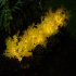 2pcs Solar Garden Lights With 1 2v600mah Rechargeable Battery Led Emulation Solar Rape Flower Lights For Patio Yard Pathway Holiday Decor yellow