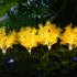 2pcs Solar Garden Lights With 1 2v600mah Rechargeable Battery Led Emulation Solar Rape Flower Lights For Patio Yard Pathway Holiday Decor yellow