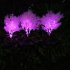 2pcs Solar Garden Lights With 1 2v600mah Rechargeable Battery Led Emulation Solar Rape Flower Lights For Patio Yard Pathway Holiday Decor blue