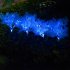 2pcs Solar Garden Lights With 1 2v600mah Rechargeable Battery Led Emulation Solar Rape Flower Lights For Patio Yard Pathway Holiday Decor blue