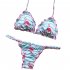 2pcs set Women Sexy Flamingo Pattern Bikini Set