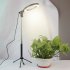 3 in 1 LED Ring Light Photo Photography Dimmable Video for Smartphone with Tripod Selfie Stick   Phone Holder Red 16CM