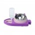3 in 1 Pet Feeding Bowl Water Dispenser Anti choking Neck Guard Automatic Food Dispenser For Dogs Cats fish shape bowl grey