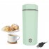 300W Portable Travel Electric Kettle Anti Scalding Design 304 Stainless Steel Fast Water Boil Tea Pot Suitable For Milk Coffee Water Tea Green  US plug 