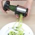 304 Stainless Steel Carrot Rotary Grater Spiral Vegetable  Cutter Zucchini Cutter Spiral Slicer 7 5 7 5cm