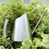 304 Stainless Steel Long Mouth Watering Pot Fashion Household Balcony Spray Can Garden Tools Adult Children 900ml
